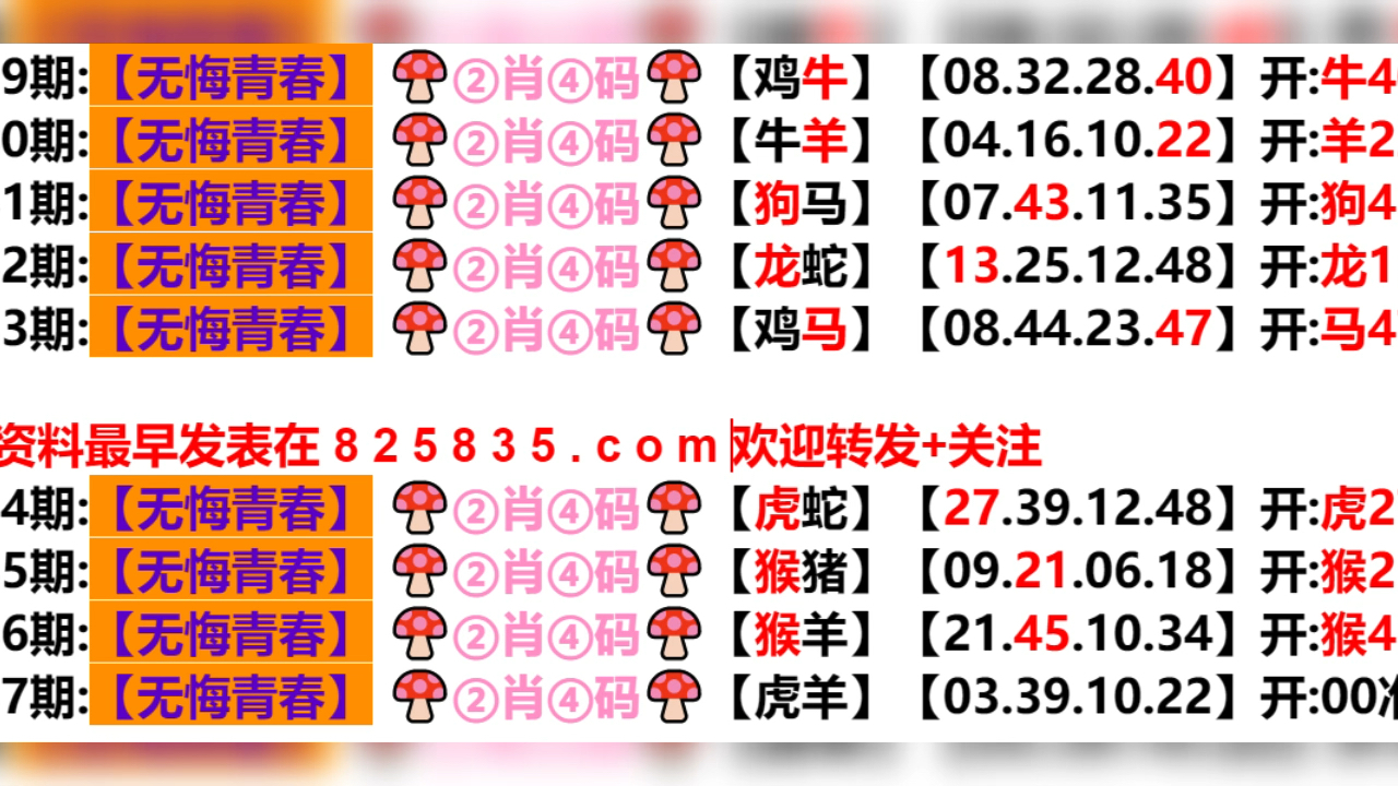 澳门今晚开什么码——澳门今晚开什么码头