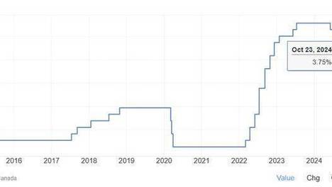 2024年新澳资料免费大全——2024年新澳资料免费大全正版波菜园