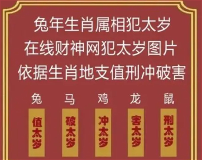 关于一肖一码一必中一肖的信息