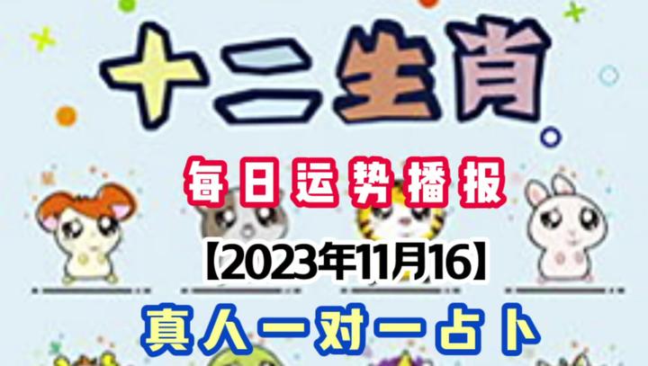 新澳门今晚开特马开奖2024年11月12号的简单介绍