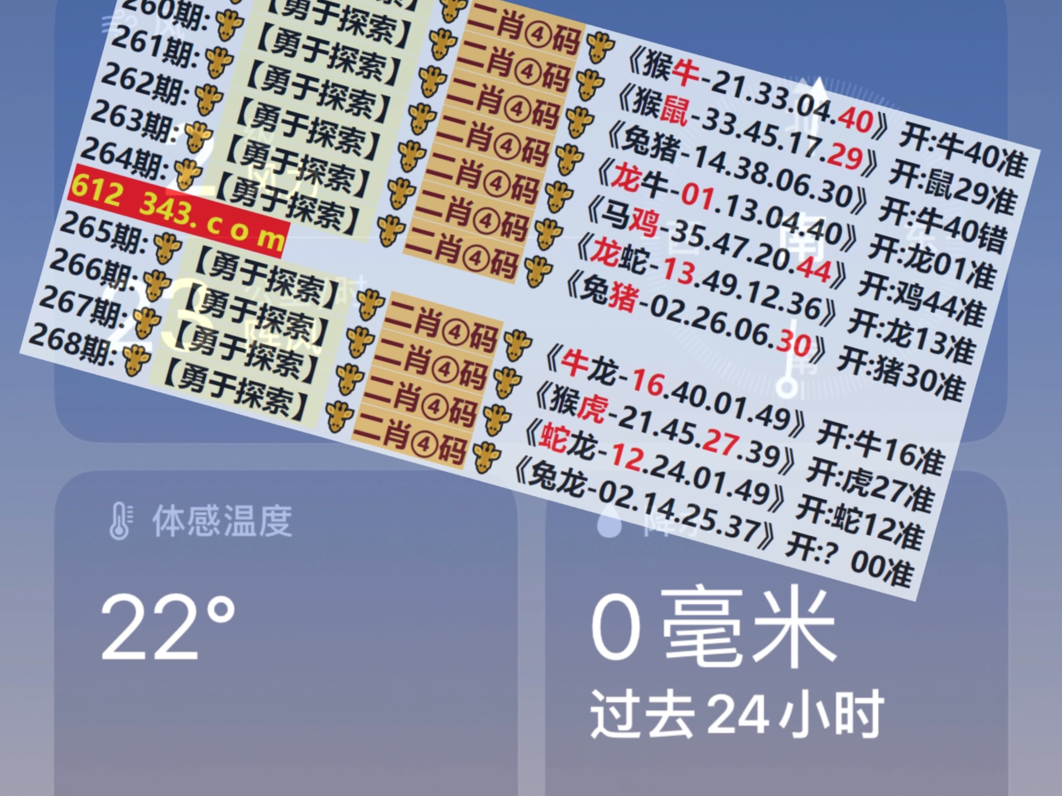 2024香港港六开奖记录——2024香港港六开奖记录三十六期开什么