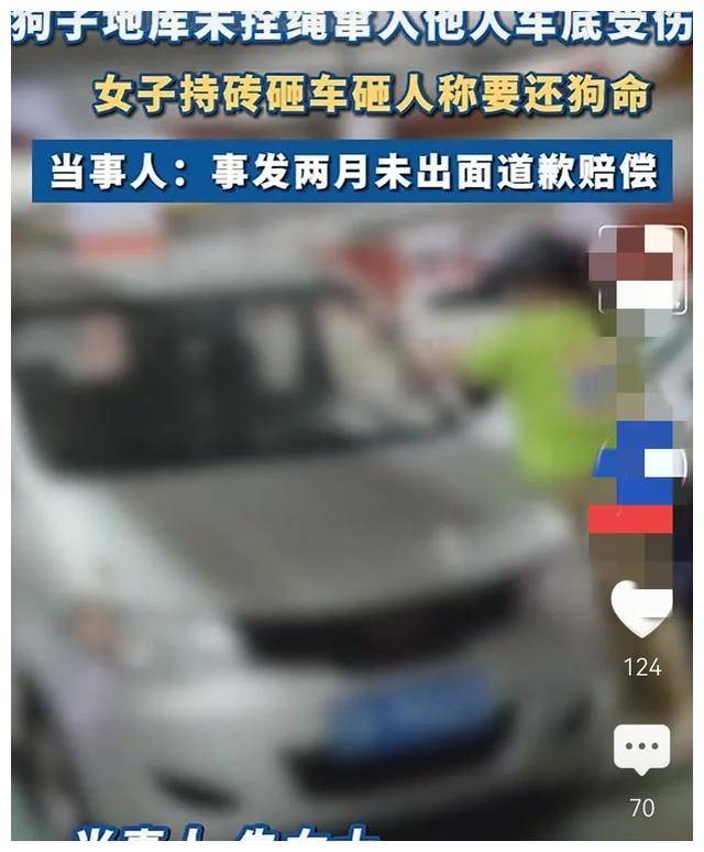 一女子因狗窜入车底受伤砸车