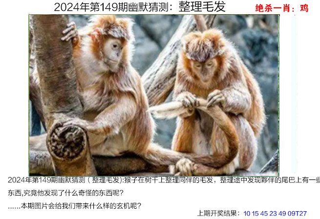 澳门资料2024免费,{下拉词}