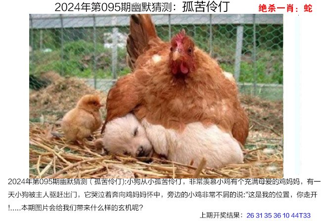 澳门码2024免费精准资料