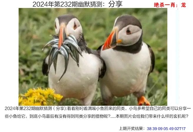 澳门2024免费精准资料,{下拉词}