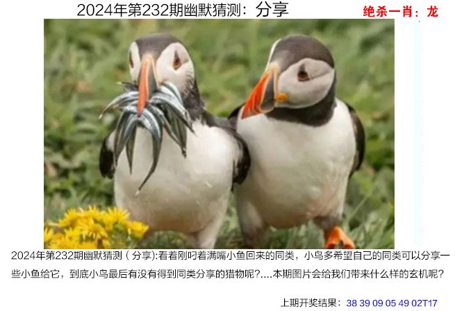 精准2024澳门免费资料,{下拉词}