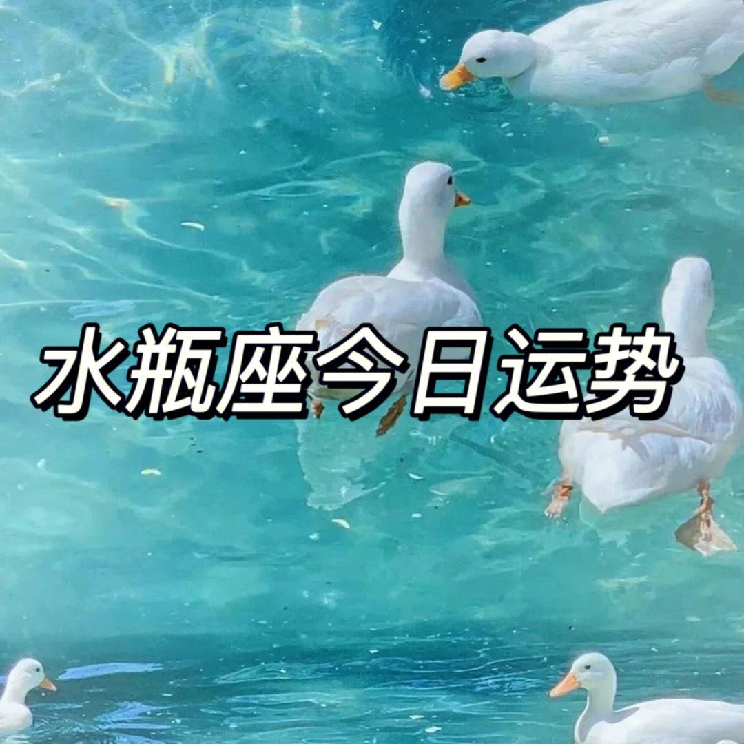 水瓶座女今日运势查询精准,{下拉词}