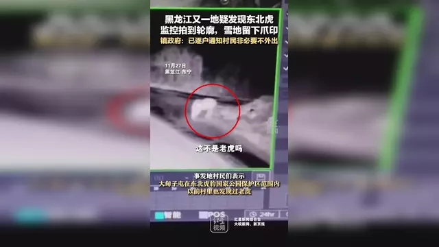 黑龙江监控免费,{下拉词}