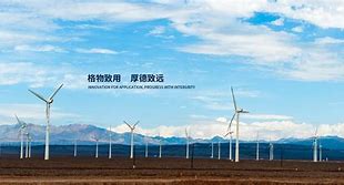 24年澳门冷码最新消息,2021年澳门冷码没开的号