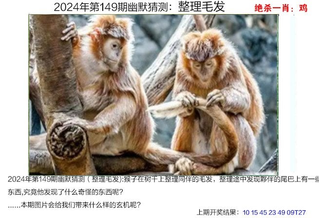 新澳门2023正版资料免费大全,澳门2023正版资料免费大全49