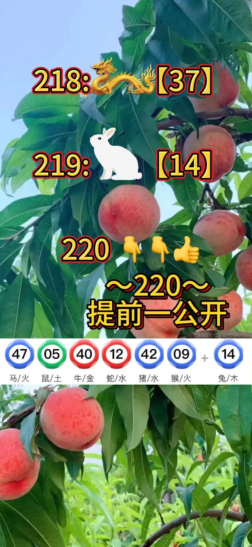 2024新澳门正版全年免费资料,