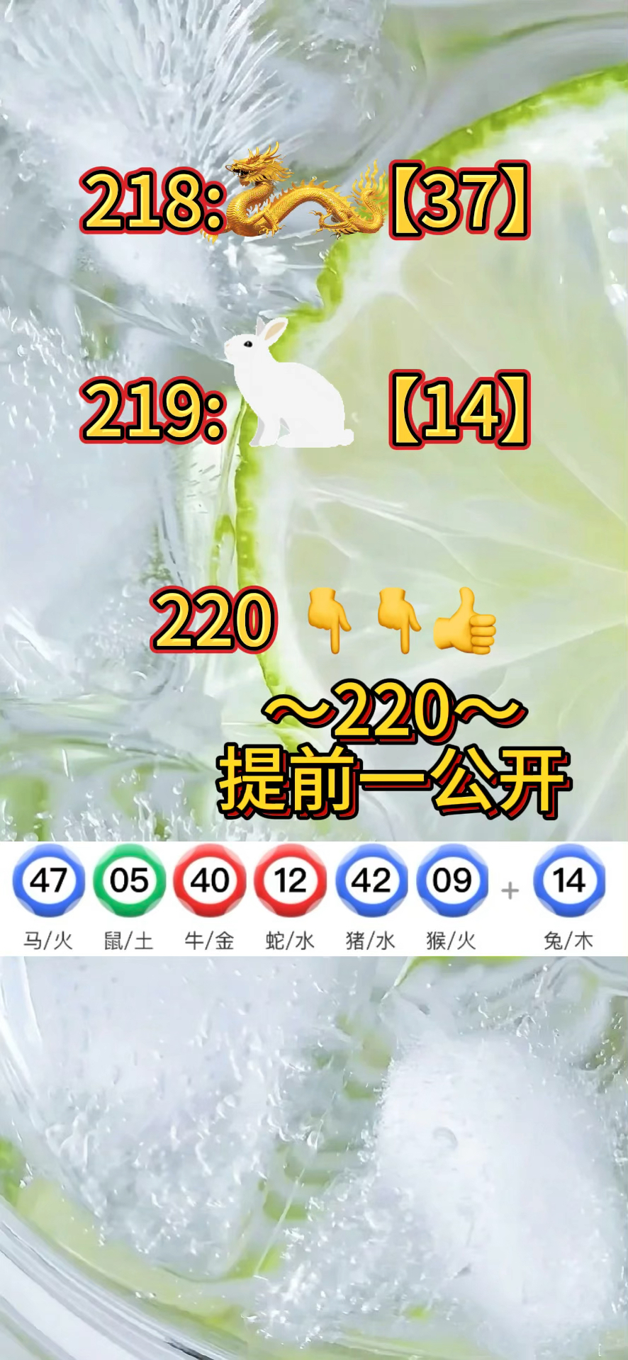 2024新澳门大全49,2024新澳门大全1688